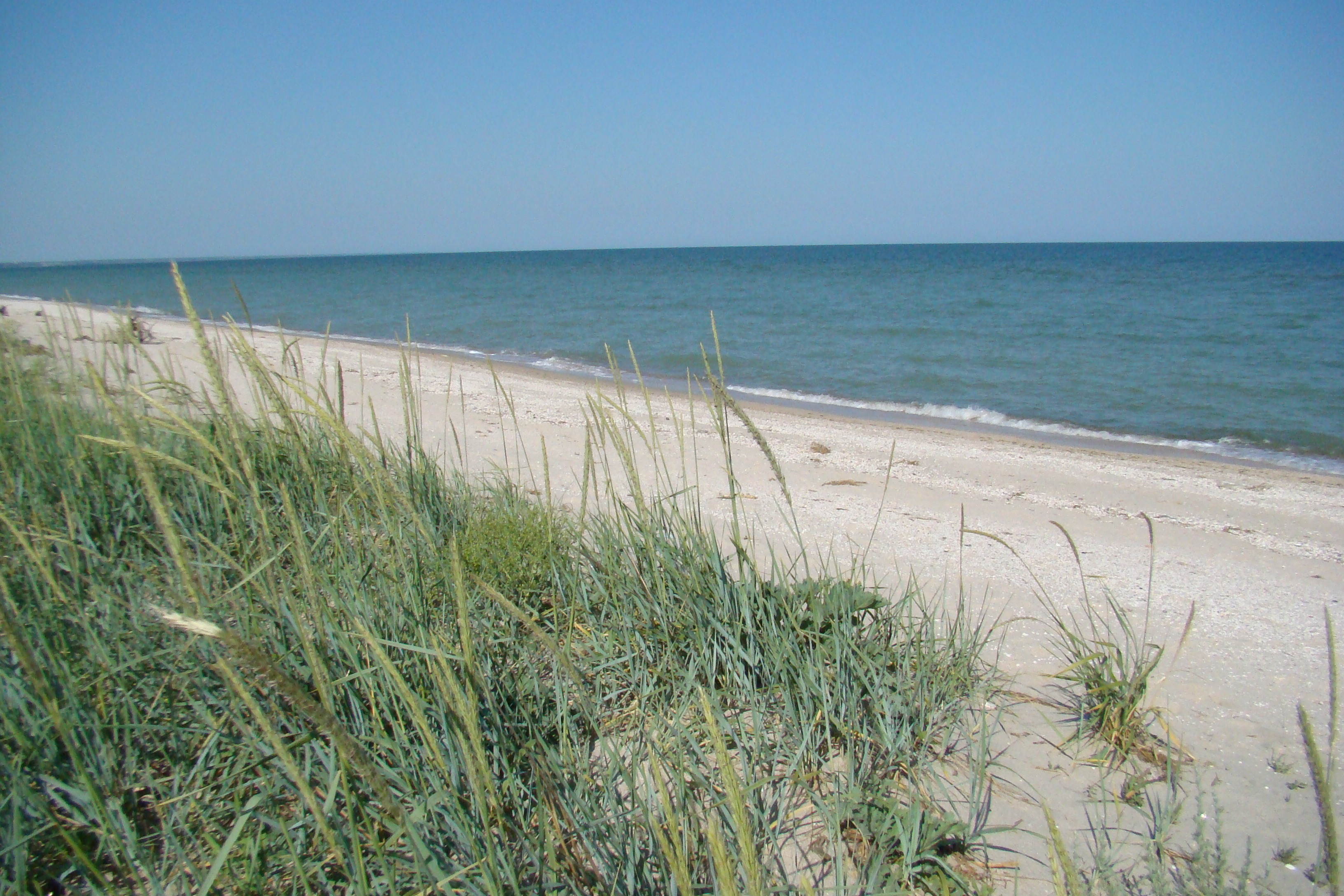 Obytochna Spit, the beach